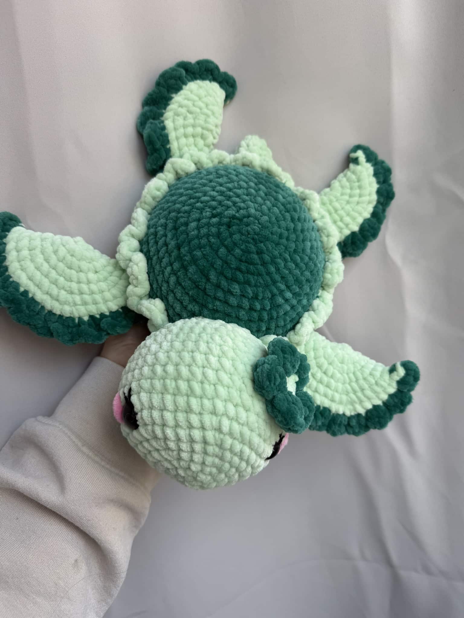 schildkröte